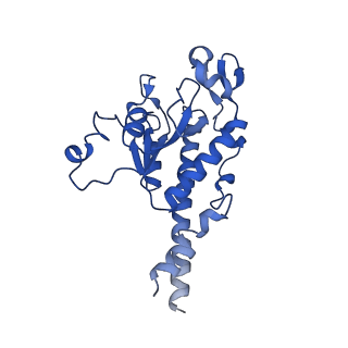 13982_7qi6_AB_v1-1
Human mitochondrial ribosome in complex with mRNA, A/P- and P/E-tRNAs at 2.98 A resolution