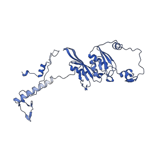 13982_7qi6_AD_v1-1
Human mitochondrial ribosome in complex with mRNA, A/P- and P/E-tRNAs at 2.98 A resolution