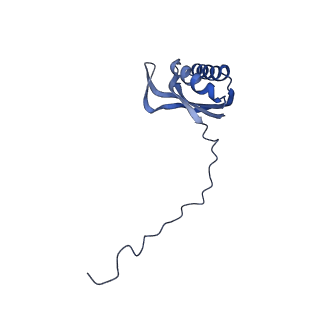 13982_7qi6_AE_v1-1
Human mitochondrial ribosome in complex with mRNA, A/P- and P/E-tRNAs at 2.98 A resolution