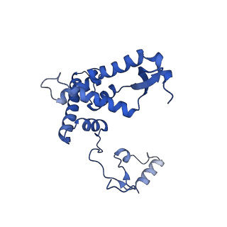13982_7qi6_AF_v1-1
Human mitochondrial ribosome in complex with mRNA, A/P- and P/E-tRNAs at 2.98 A resolution