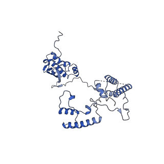 13982_7qi6_AG_v1-1
Human mitochondrial ribosome in complex with mRNA, A/P- and P/E-tRNAs at 2.98 A resolution