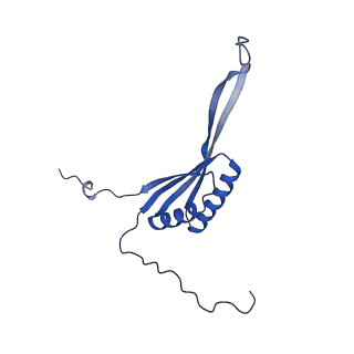 13982_7qi6_AH_v1-1
Human mitochondrial ribosome in complex with mRNA, A/P- and P/E-tRNAs at 2.98 A resolution