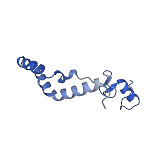 13982_7qi6_AK_v1-1
Human mitochondrial ribosome in complex with mRNA, A/P- and P/E-tRNAs at 2.98 A resolution