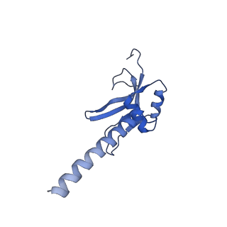 13982_7qi6_AM_v1-1
Human mitochondrial ribosome in complex with mRNA, A/P- and P/E-tRNAs at 2.98 A resolution