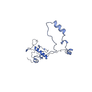 13982_7qi6_AO_v1-1
Human mitochondrial ribosome in complex with mRNA, A/P- and P/E-tRNAs at 2.98 A resolution
