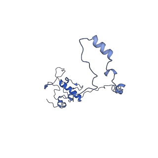 13982_7qi6_AO_v2-1
Human mitochondrial ribosome in complex with mRNA, A/P- and P/E-tRNAs at 2.98 A resolution