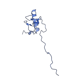 13982_7qi6_AP_v1-1
Human mitochondrial ribosome in complex with mRNA, A/P- and P/E-tRNAs at 2.98 A resolution