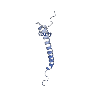 13982_7qi6_AQ_v1-1
Human mitochondrial ribosome in complex with mRNA, A/P- and P/E-tRNAs at 2.98 A resolution