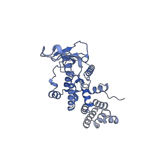 13982_7qi6_AR_v1-1
Human mitochondrial ribosome in complex with mRNA, A/P- and P/E-tRNAs at 2.98 A resolution