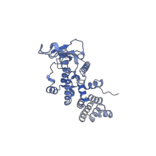 13982_7qi6_AR_v2-1
Human mitochondrial ribosome in complex with mRNA, A/P- and P/E-tRNAs at 2.98 A resolution