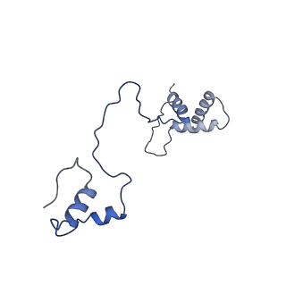 13982_7qi6_AS_v1-1
Human mitochondrial ribosome in complex with mRNA, A/P- and P/E-tRNAs at 2.98 A resolution