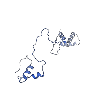 13982_7qi6_AS_v2-1
Human mitochondrial ribosome in complex with mRNA, A/P- and P/E-tRNAs at 2.98 A resolution