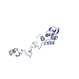 13982_7qi6_AT_v1-1
Human mitochondrial ribosome in complex with mRNA, A/P- and P/E-tRNAs at 2.98 A resolution
