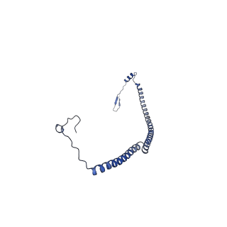 13982_7qi6_AU_v1-1
Human mitochondrial ribosome in complex with mRNA, A/P- and P/E-tRNAs at 2.98 A resolution