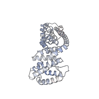 13982_7qi6_AV_v1-1
Human mitochondrial ribosome in complex with mRNA, A/P- and P/E-tRNAs at 2.98 A resolution
