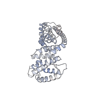 13982_7qi6_AV_v2-1
Human mitochondrial ribosome in complex with mRNA, A/P- and P/E-tRNAs at 2.98 A resolution