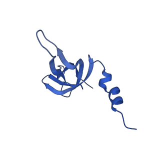 13982_7qi6_AW_v1-1
Human mitochondrial ribosome in complex with mRNA, A/P- and P/E-tRNAs at 2.98 A resolution