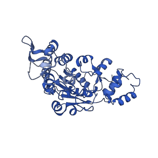 13982_7qi6_AX_v1-1
Human mitochondrial ribosome in complex with mRNA, A/P- and P/E-tRNAs at 2.98 A resolution