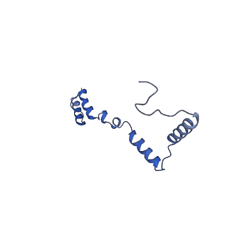 13982_7qi6_AZ_v1-1
Human mitochondrial ribosome in complex with mRNA, A/P- and P/E-tRNAs at 2.98 A resolution