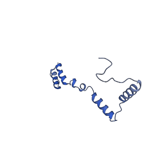 13982_7qi6_AZ_v2-1
Human mitochondrial ribosome in complex with mRNA, A/P- and P/E-tRNAs at 2.98 A resolution