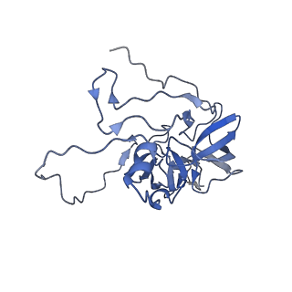 13982_7qi6_D_v1-1
Human mitochondrial ribosome in complex with mRNA, A/P- and P/E-tRNAs at 2.98 A resolution