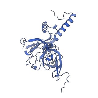 13982_7qi6_E_v1-1
Human mitochondrial ribosome in complex with mRNA, A/P- and P/E-tRNAs at 2.98 A resolution