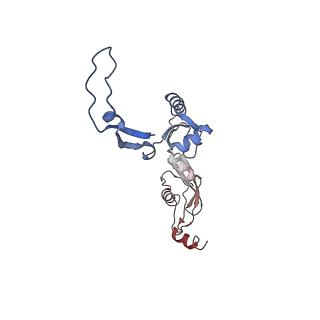 13982_7qi6_H_v1-1
Human mitochondrial ribosome in complex with mRNA, A/P- and P/E-tRNAs at 2.98 A resolution