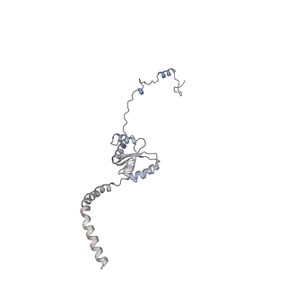 13982_7qi6_I_v1-1
Human mitochondrial ribosome in complex with mRNA, A/P- and P/E-tRNAs at 2.98 A resolution