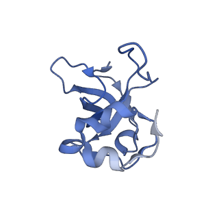 13982_7qi6_L_v1-1
Human mitochondrial ribosome in complex with mRNA, A/P- and P/E-tRNAs at 2.98 A resolution