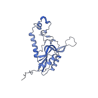 13982_7qi6_N_v1-1
Human mitochondrial ribosome in complex with mRNA, A/P- and P/E-tRNAs at 2.98 A resolution