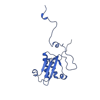 13982_7qi6_P_v2-1
Human mitochondrial ribosome in complex with mRNA, A/P- and P/E-tRNAs at 2.98 A resolution
