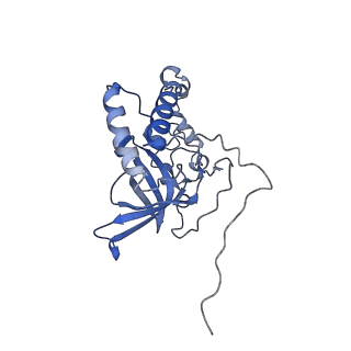 13982_7qi6_Q_v1-1
Human mitochondrial ribosome in complex with mRNA, A/P- and P/E-tRNAs at 2.98 A resolution