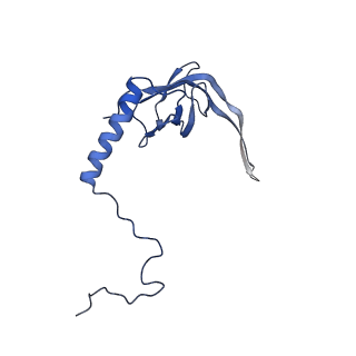 13982_7qi6_S_v1-1
Human mitochondrial ribosome in complex with mRNA, A/P- and P/E-tRNAs at 2.98 A resolution