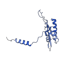 13982_7qi6_T_v1-1
Human mitochondrial ribosome in complex with mRNA, A/P- and P/E-tRNAs at 2.98 A resolution
