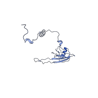 13982_7qi6_U_v2-1
Human mitochondrial ribosome in complex with mRNA, A/P- and P/E-tRNAs at 2.98 A resolution