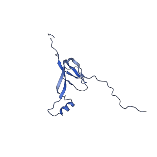 13982_7qi6_W_v1-1
Human mitochondrial ribosome in complex with mRNA, A/P- and P/E-tRNAs at 2.98 A resolution