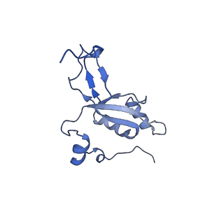 13982_7qi6_Z_v1-1
Human mitochondrial ribosome in complex with mRNA, A/P- and P/E-tRNAs at 2.98 A resolution