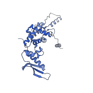 13982_7qi6_c_v1-1
Human mitochondrial ribosome in complex with mRNA, A/P- and P/E-tRNAs at 2.98 A resolution