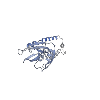 13982_7qi6_e_v1-1
Human mitochondrial ribosome in complex with mRNA, A/P- and P/E-tRNAs at 2.98 A resolution