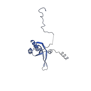 13982_7qi6_f_v1-1
Human mitochondrial ribosome in complex with mRNA, A/P- and P/E-tRNAs at 2.98 A resolution
