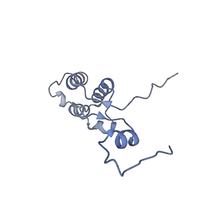 13982_7qi6_h_v2-1
Human mitochondrial ribosome in complex with mRNA, A/P- and P/E-tRNAs at 2.98 A resolution