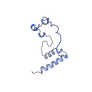 13982_7qi6_i_v1-1
Human mitochondrial ribosome in complex with mRNA, A/P- and P/E-tRNAs at 2.98 A resolution