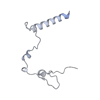 13982_7qi6_l_v1-1
Human mitochondrial ribosome in complex with mRNA, A/P- and P/E-tRNAs at 2.98 A resolution