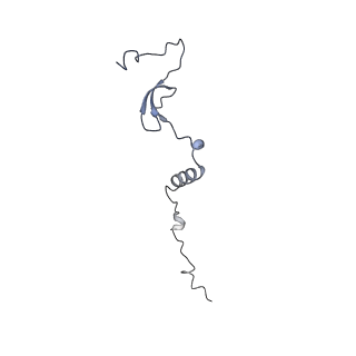 13982_7qi6_m_v1-1
Human mitochondrial ribosome in complex with mRNA, A/P- and P/E-tRNAs at 2.98 A resolution