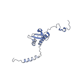 13982_7qi6_p_v1-1
Human mitochondrial ribosome in complex with mRNA, A/P- and P/E-tRNAs at 2.98 A resolution