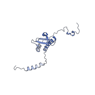 13982_7qi6_p_v2-1
Human mitochondrial ribosome in complex with mRNA, A/P- and P/E-tRNAs at 2.98 A resolution