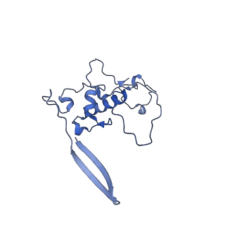 13982_7qi6_r_v1-1
Human mitochondrial ribosome in complex with mRNA, A/P- and P/E-tRNAs at 2.98 A resolution