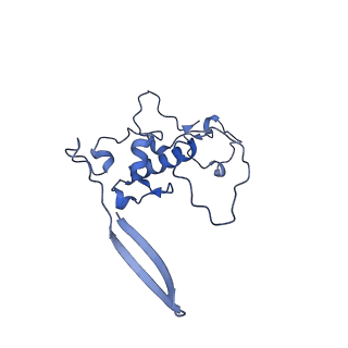 13982_7qi6_r_v2-1
Human mitochondrial ribosome in complex with mRNA, A/P- and P/E-tRNAs at 2.98 A resolution