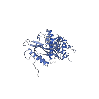 13982_7qi6_s_v1-1
Human mitochondrial ribosome in complex with mRNA, A/P- and P/E-tRNAs at 2.98 A resolution
