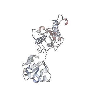 13982_7qi6_z_v1-1
Human mitochondrial ribosome in complex with mRNA, A/P- and P/E-tRNAs at 2.98 A resolution